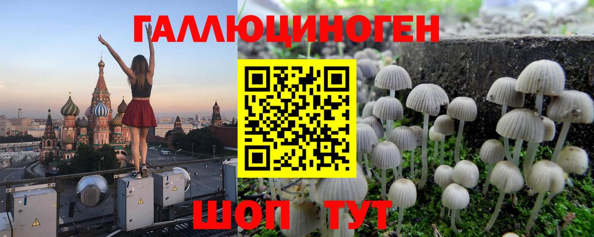 Галлюциногенные грибы Magic Shrooms  Псилоцибиновые грибы Psilocybe  Апшеронск  Вход с VPN 