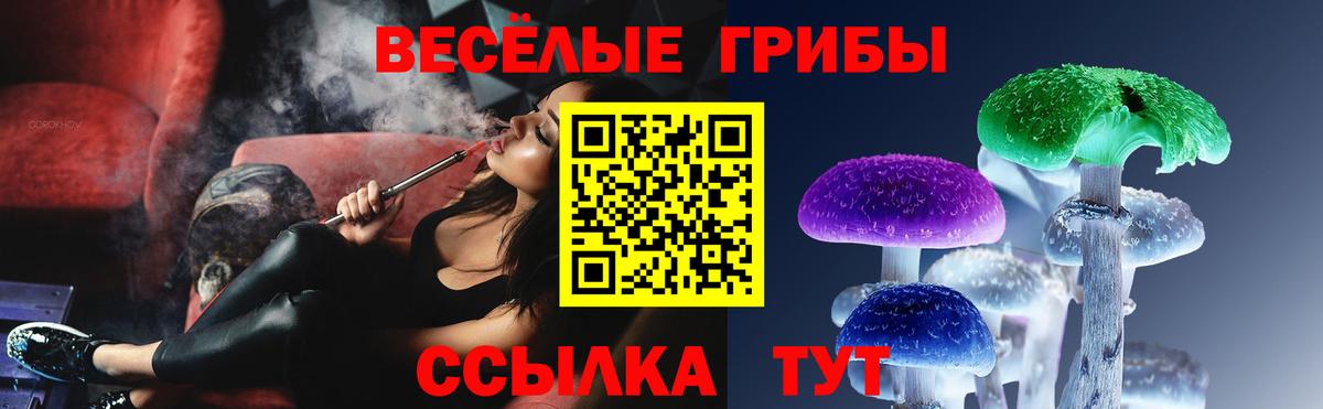 Псилоцибиновые грибы мухоморы Апшеронск